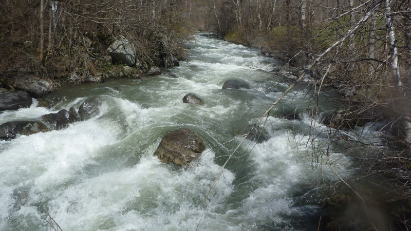 Wildwasserklasse 4 - Noguera Pallaresa  - Alós d´Isil